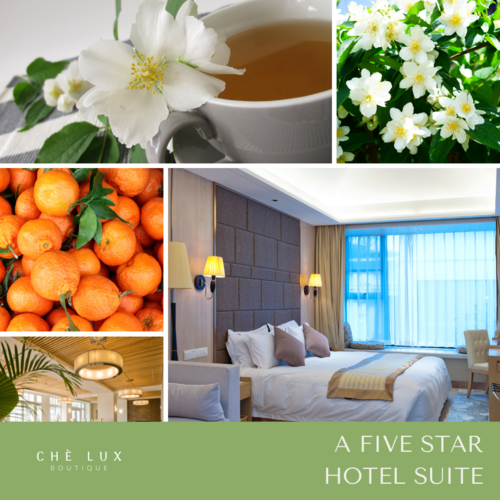 Luxury Suites